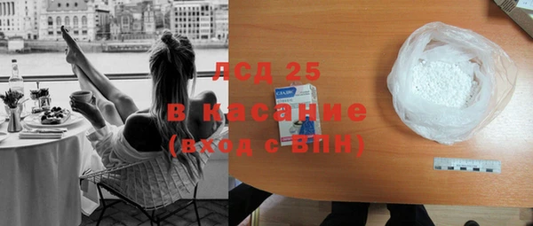 индика Беломорск