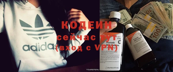 индика Беломорск