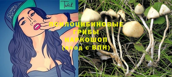 индика Беломорск