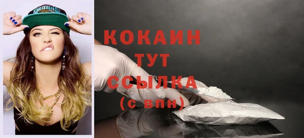 индика Беломорск