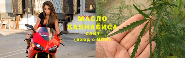 индика Беломорск