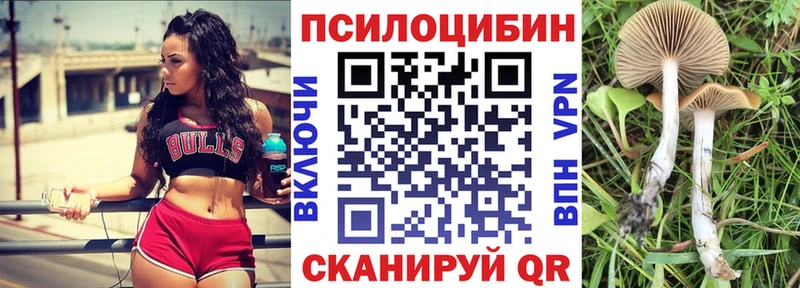 Псилоцибиновые грибы прущие грибы  ОМГ ОМГ вход  Макарьев 